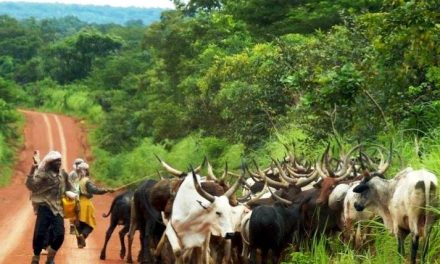 Bangui accueille une conférence nationale de haut niveau pour une transhumance apaisée et prospère en RCA