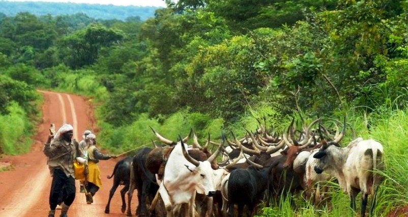 Bangui accueille une conférence nationale de haut niveau pour une transhumance apaisée et prospère en RCA