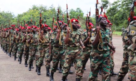 Centrafrique : L’armée lance un ultimatum aux groupes armés de Mboki de déposer les armes d’ici au 15 juin