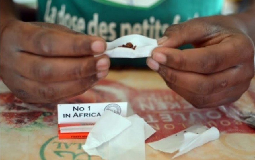 Centrafrique : La lutte anti-drogue, un parcours de combattant