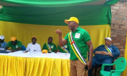 Centrafrique : Vers la solution à la crise qui mine le parti RDC