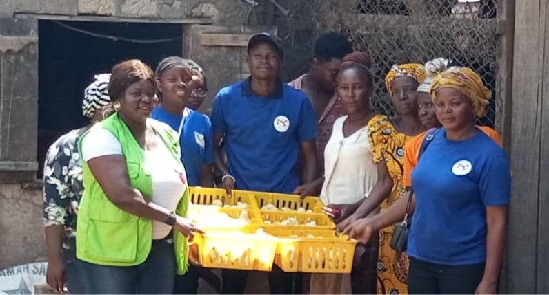 Centrafrique : L&rsquo;ONG WHH remet 250 poussins à l&rsquo;association BE OKO multiservice, membre de la FAFECA