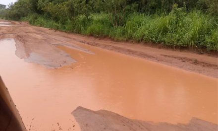 Centrafrique : Axe Bambari-Alindao, un véritable calvaire pour les usagers