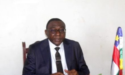La lutte contre l’importation frauduleuse et la vente des produits    avariés, une préoccupation du gouvernement centrafricain