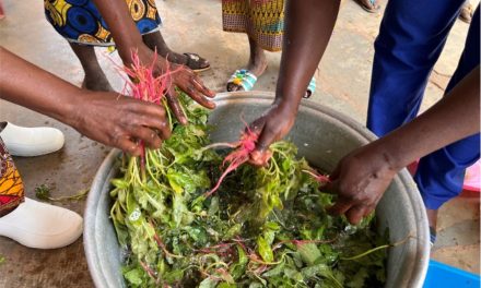 République centrafricaine : sensibiliser et prévenir pour lutter contre la malnutrition à Bossangoa