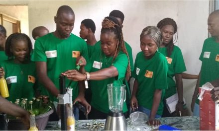 Centrafrique : la lutte contre l’insécurité alimentaire et l’entreprenariat féminin, des priorités de l’INA