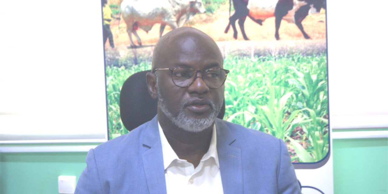 Centrafrique : «  Le PRAPAM, c’est l’émergence des espoirs pour les éleveurs et agriculteurs »