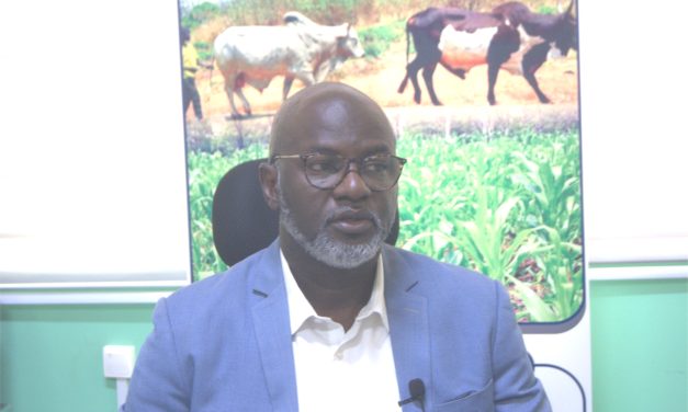 Centrafrique : «  Le PRAPAM, c’est l’émergence des espoirs pour les éleveurs et agriculteurs »