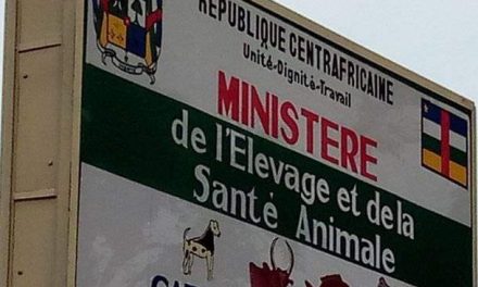 Appel à manifestation d’intérêt : Société de conseil pour la revue et mise à niveau du registre des données des chaines de valeur agricole adapté au PEAJ