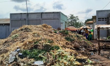 Centrafrique: L&rsquo;insalubrité grandissante au marché Bimbo et ses périphéries