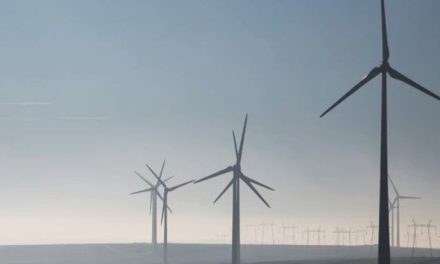 Cinq leviers pour mobiliser les capitaux privés en faveur de la lutte contre le changement climatique