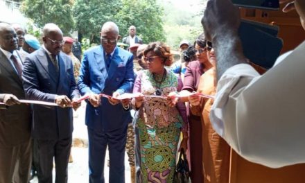 Centrafrique : Inauguration de deux centres de formation en menuiserie construit par le PNUD  pour un développement économique inclusif