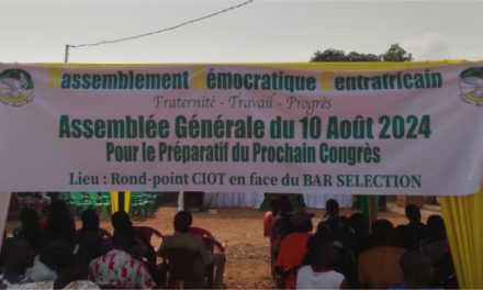Centrafrique: Assemblée générale du parti RDC, début des préparatifs du   prochain congrès