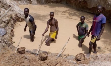 La tendance vers l’industrialisation de secteur minier et forestier en Centrafrique