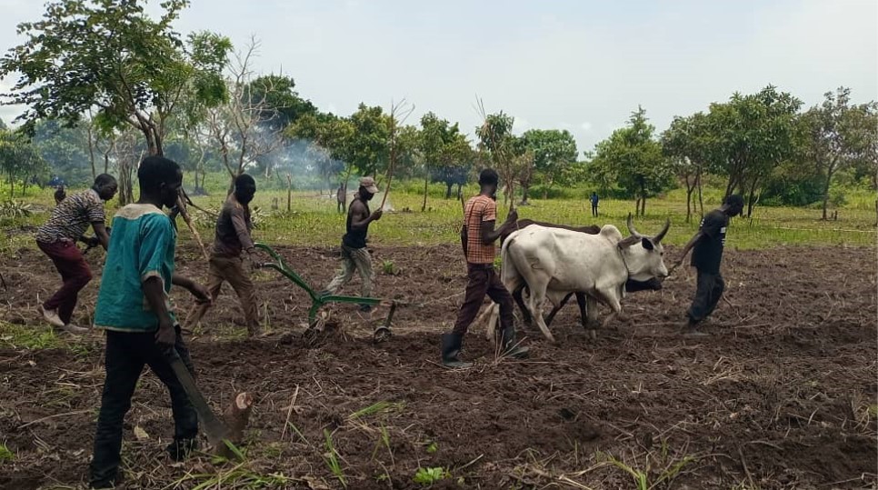 Centrafrique : Des anciens déplacés s’activent pour relancer l’agriculture à Kaga-Bandoro
