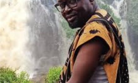 Centrafrique : Dix-sept humoristes formés pour le prochain festival «Bangui rire»