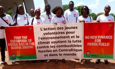 Centrafrique : L&rsquo;ambassadeur de Gream Soldier Fiacre Salabé lutte contre les comestibles fossiles et la protection de l&rsquo;environnement
