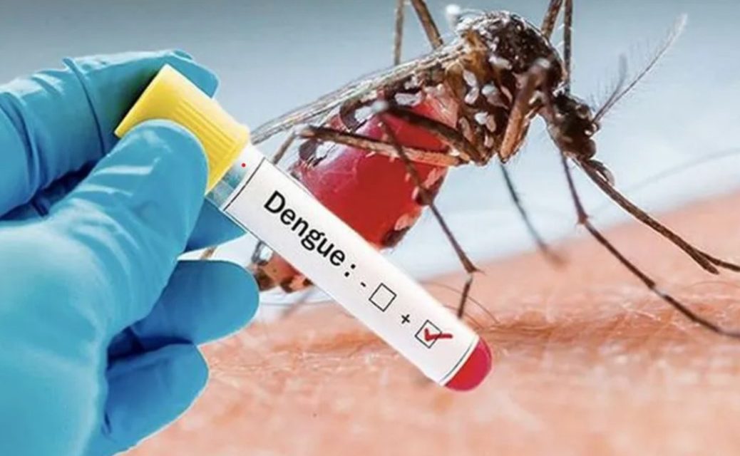 Risque de l’épidémie de la Dengue en Centrafrique