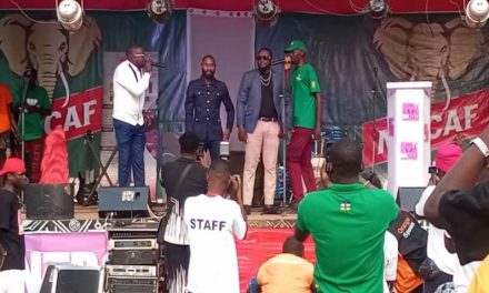 Centrafrique : Une foule au concert de solidarité artistique