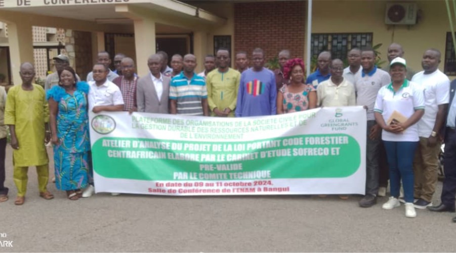 Centrafrique: Atelier de pilotage pour la gestion durable des ressourcesnaturelles et de l’environnement