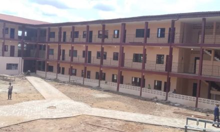 Centrafrique : L&rsquo;université Newtech institut de Bangui ouvre ses portes aux étudiants