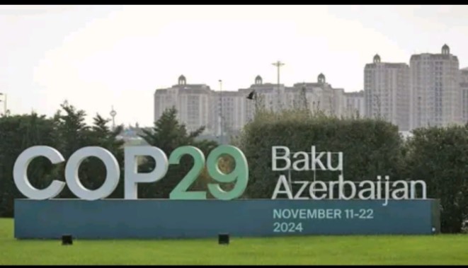 Centrafrique : Quels sont les enjeux de la COP 29 sur l’environnement en Azerbaïdjan ?