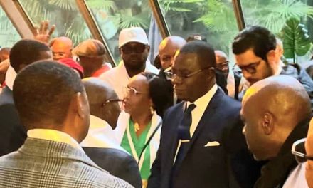 Centrafrique : La fédération France Europe Occidentale réaffirme son engagement envers le parti UNIR