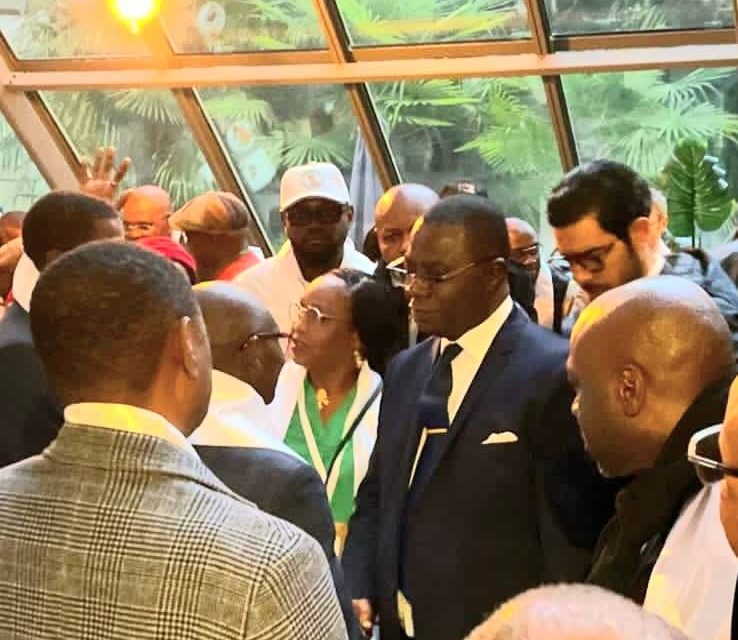 Centrafrique : La fédération France Europe Occidentale réaffirme son engagement envers le parti UNIR
