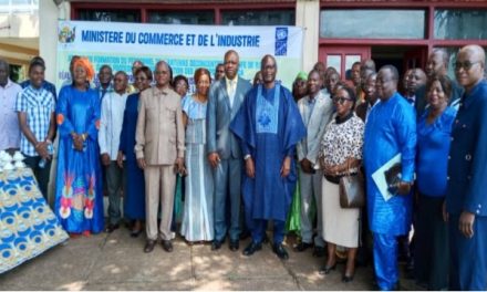 Le personnel de l&rsquo;antenne déconcentré du GUFE de Bambari renforcé sur le processus de formalisation des entreprises en RCA