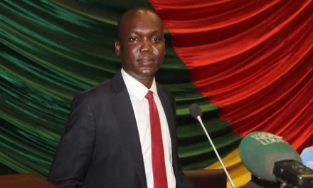 Centrafrique : interpellation du Ministre de la jeunesse et des sports par l’Assemblée nationale  