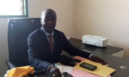 Centrafrique : des formateurs du parti RDC imprégnés sur les élections locales