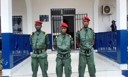 Centrafrique : le gouvernement se félicite de l&rsquo;engouement des ex-combattants à déposer les armes