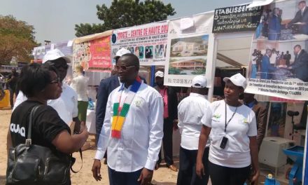 Centrafrique : « encourager l&rsquo;adoption des solutions numériques pour transformer et améliorer la performance des entreprises traditionnelles », selon Louma