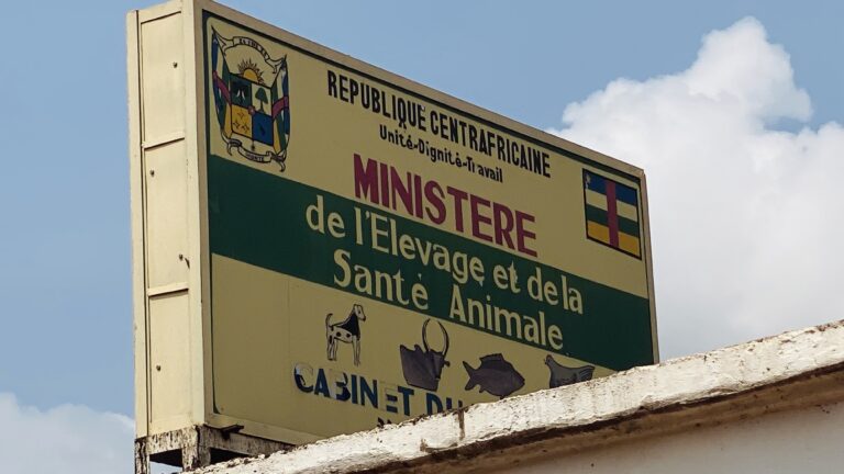 Projet Elevage et Appui aux Jeunes : avis de recrutement d’un (e) consultant (e) pour traduire en langue locale le document d’éducation nutritionnelle, hygiène et assainissement (Sango)