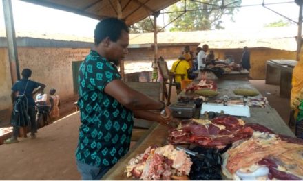 Centrafrique : hausse de prix et rareté de la viande de bœuf à Carnot