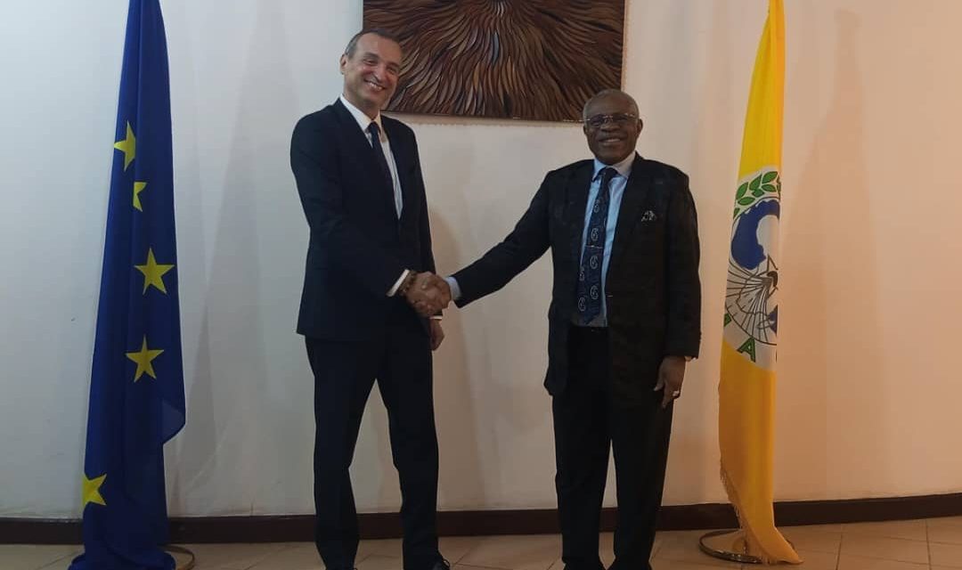 Centrafrique : le nouvel Ambassadeur de l&rsquo;UE présente sa lettre de créance au Président de la Commission CEMAC