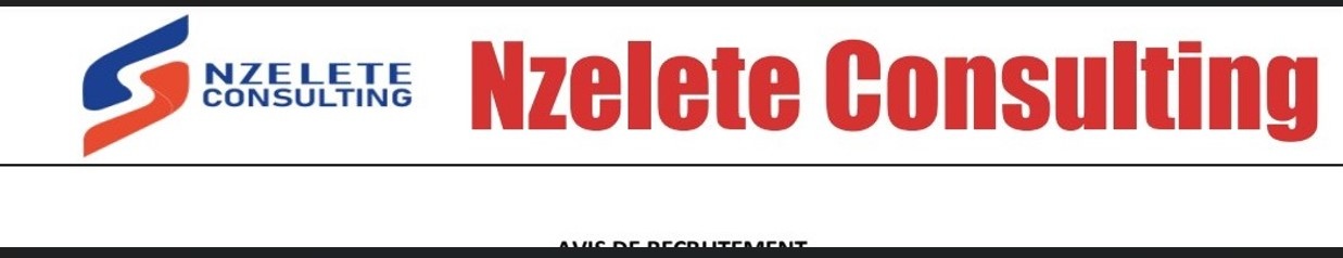 Nzelete Consulting recrute un Stagiaire développeur Web (fin