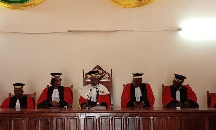 Centrafrique : le Conseil constitutionnel approuve la conformité de la loi portant organisation et fonctionnement du Conseil économique social et environnemental et de l&rsquo;ANE