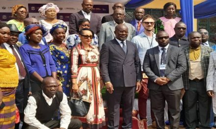 Centrafrique : Plus de 500 professeurs d’école formés à Bangui sur la digitalisation