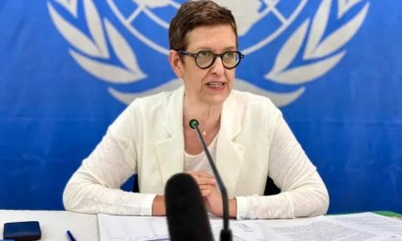 La Minusca présente le rapport d&rsquo;actualité de la semaine tenue à New-York sur la RCA