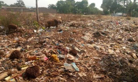 Centrafrique : décharge à ciel ouvert des ordures derrière l&rsquo;école Pétévo