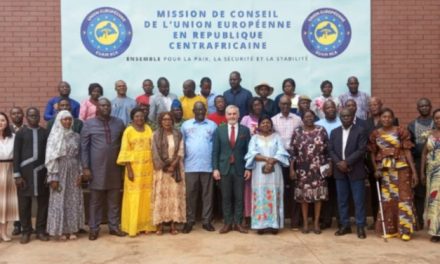 Centrafrique : formation des acteurs locaux sur la prévention de l&rsquo;incitation à la haine et à la violence et contre la désinformation