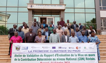 Centrafrique : validation de la nouvelle Contribution déterminée au niveau     national du pays