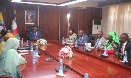 Centrafrique : la CVJRR présente son rapport d’avancement au Président Touadéra