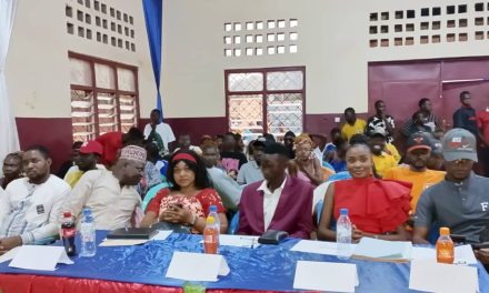 Centrafrique: l&rsquo;union des artistes de Bégoua valorise les talents locaux à travers un festival de Saint-Valentin