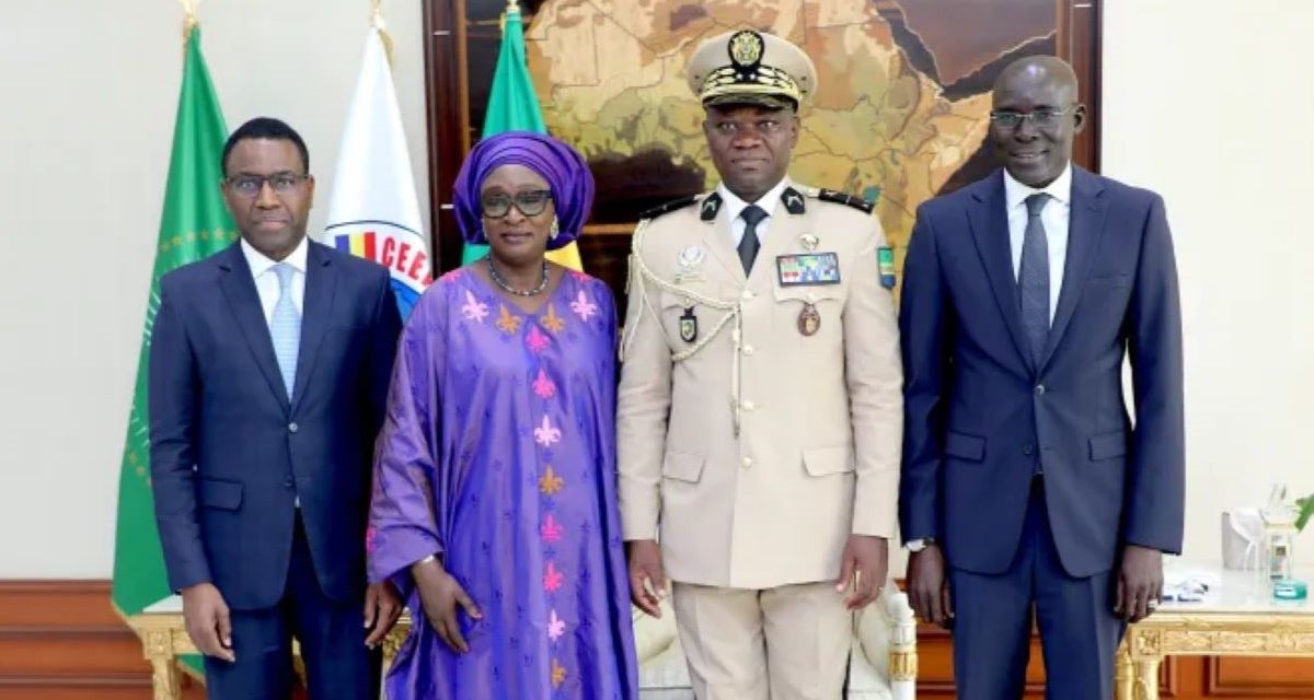 Présidence de la BAD : Oligui Nguema apporte son soutien à Amadou Hott le candidat du Sénégal