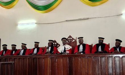 Centrafrique : le Conseil constitutionnel approuve la constitutionalité de la loi portant organisation et fonctionnement de la Haute autorité chargée de la bonne gouvernance