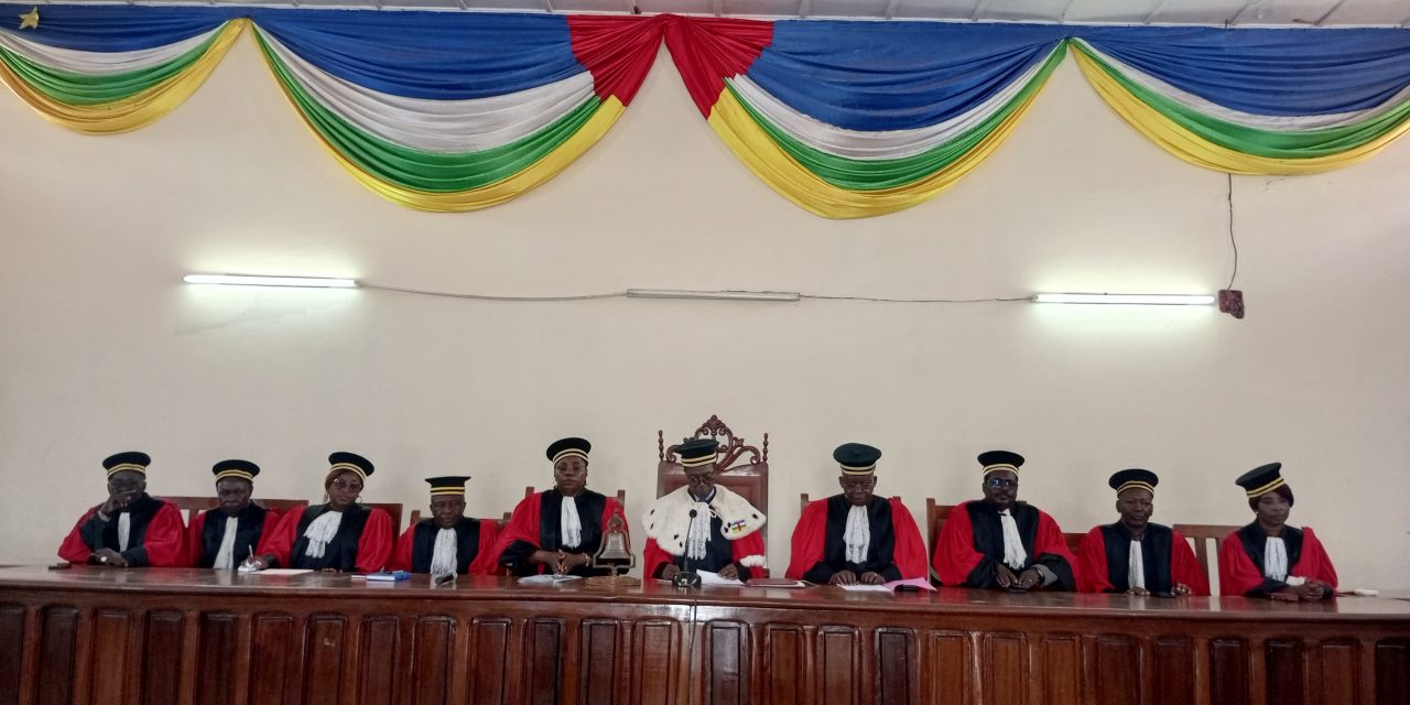 Centrafrique : le Conseil constitutionnel renvoie la loi sur la promotion et la protection des défenseurs des droits de l’homme à l’Assemblée nationale pour des corrections