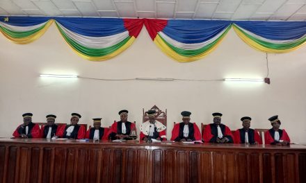 Centrafrique : le Conseil constitutionnel renvoie la loi sur la promotion et la protection des défenseurs des droits de l&rsquo;homme à l&rsquo;Assemblée nationale pour des corrections