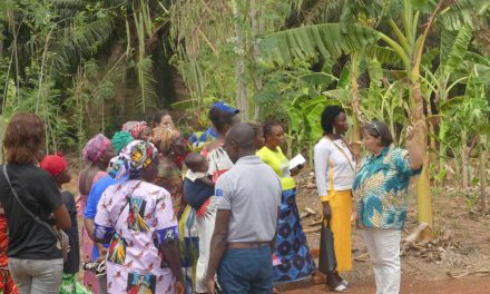 Centrafrique : les femmes entrepreneures s&rsquo;inspirent au Carmel pour booster leurs productions